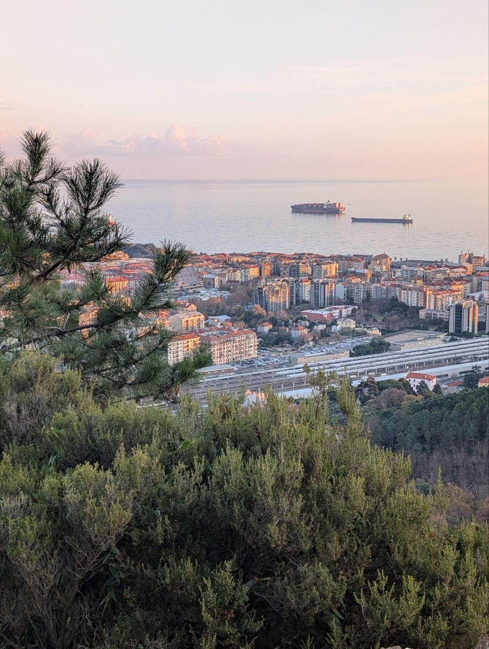 Savona e la Liguria